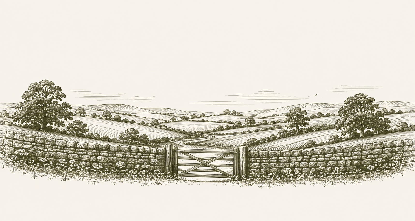 A Yorkshire dry-stone wall and wooden field gate opening onto rolling countryside